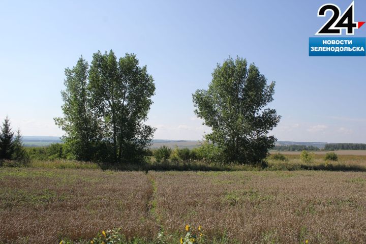 Красота родного края. Фоторепортаж Анаса Зайнуллина