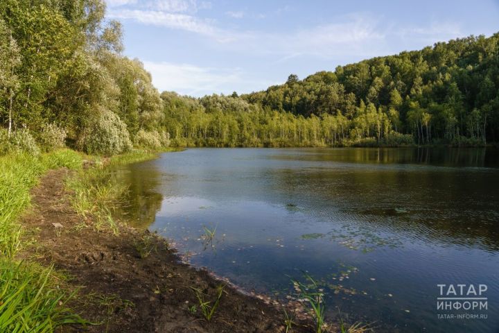 Роспотребнадзор разъясняет: Лихорадка Западного Нила на берегах Волги