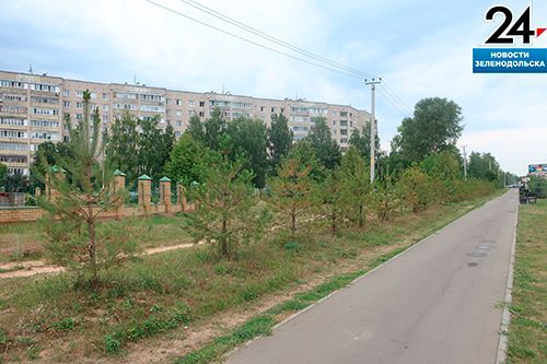 В Зеленодольске спасли сосны, высаженные на аллее Героев