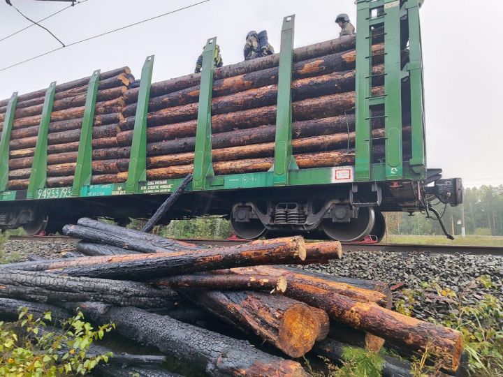 В Зеленодольском районе произошел пожар на железной дороге