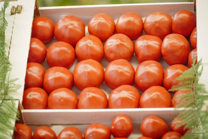 Как изменились цены на продукты в Татарстане