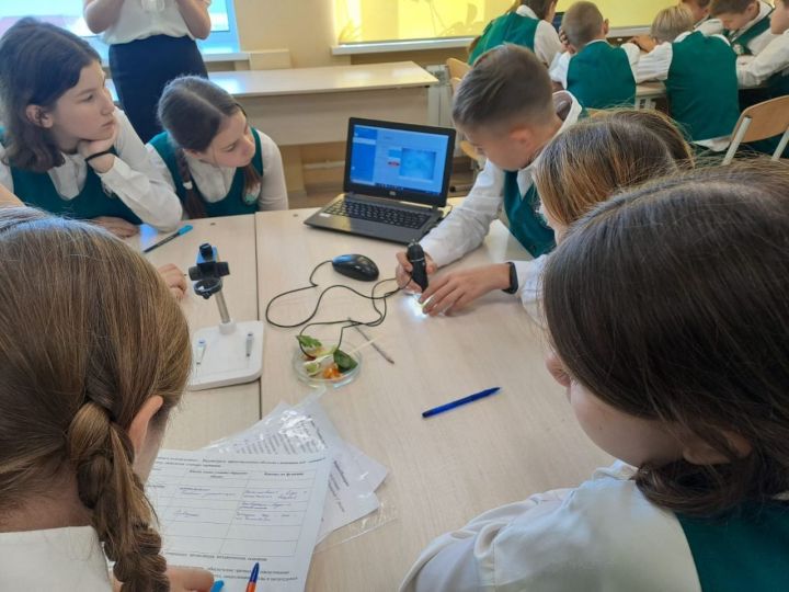 В Зеленодольском районе прошёл муниципальный семинар «Современные технологии в формировании естественно-научной грамотности»