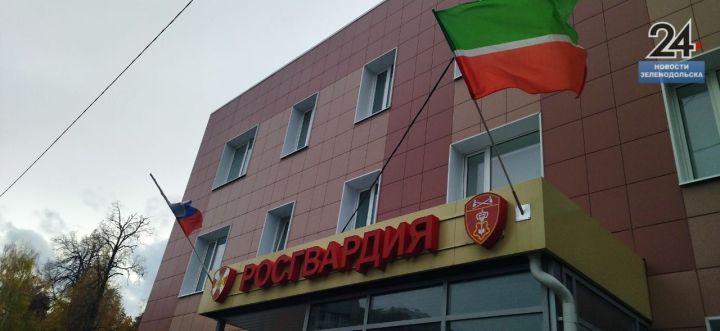 В Зеленодольске женщина нанесла ножевое ранение супругу