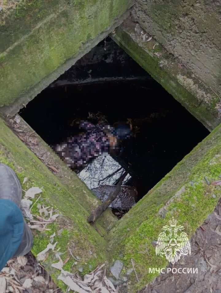 Тело женщины, найденное в коллекторе в Васильево, пролежало там несколько лет