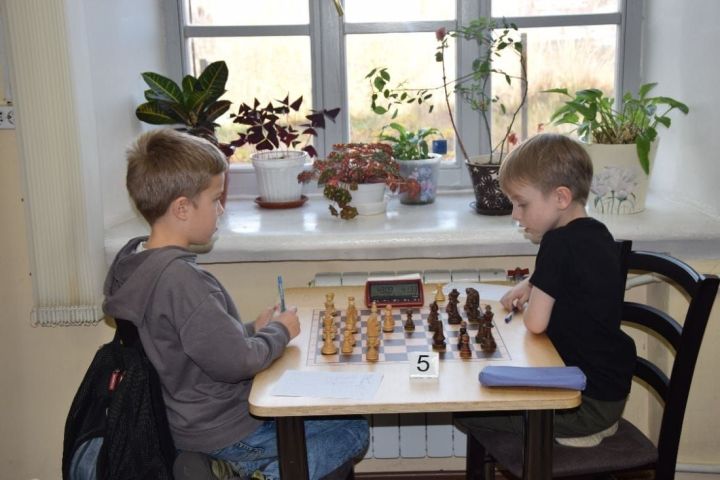 На шахматном турнире-мемориале Фридриха Прохорова успешно выступили зеленодольцы