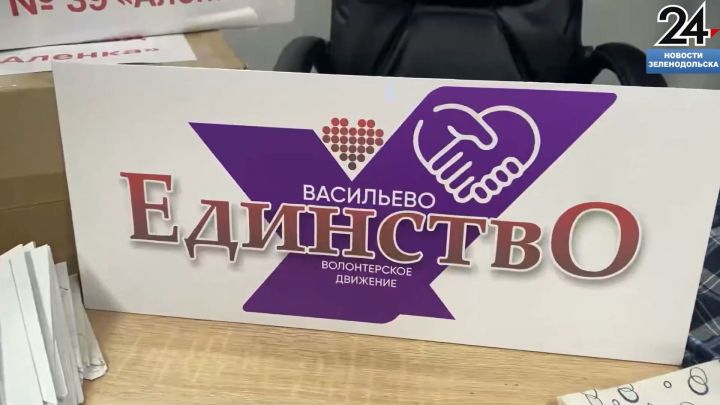 Волонтеры из п. Васильево Зеленодольского района объединились в штаб «Единство»