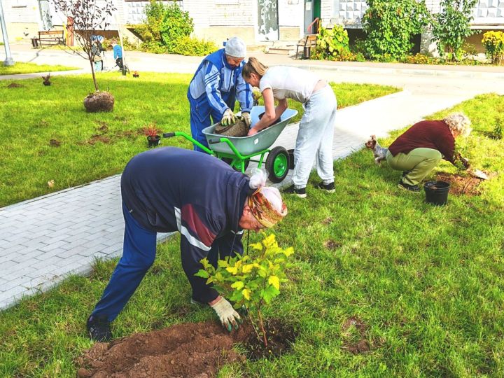 На улице Загородной активисты вместе с партнёрами создают цветущий сад