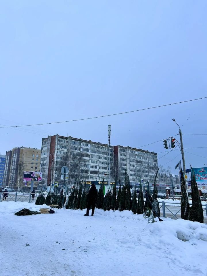 В Зеленодольске открылись елочные базары