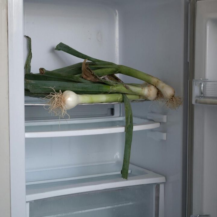 Опасные продукты: что нельзя замораживать, чтобы не навредить здоровью