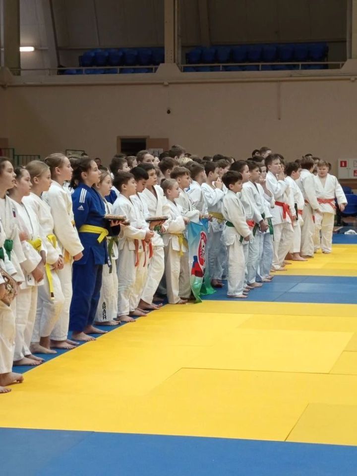 В Васильево прошёл традиционный Рождественский турнир по дзюдо