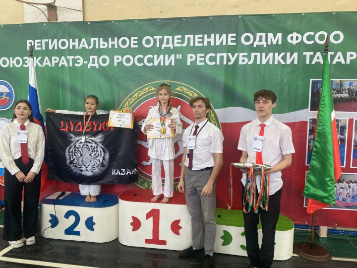 28 декабря в Казани состоялся Предновогодний турнир «Союза каратэ-до России»