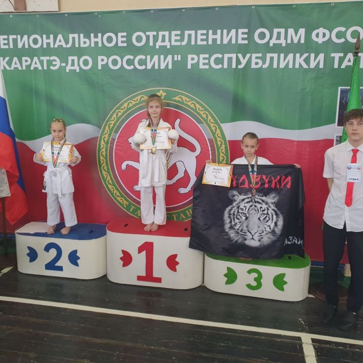 28 декабря в Казани состоялся Предновогодний турнир «Союза каратэ-до России»