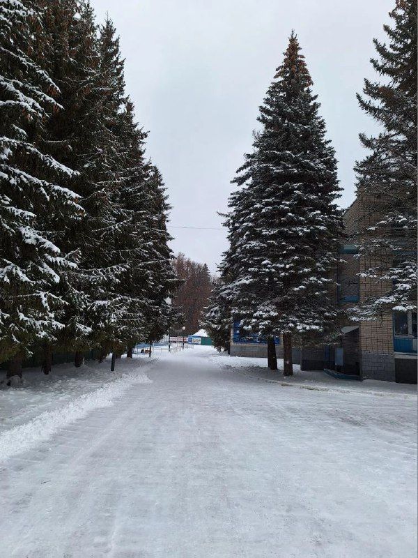 Погода в Татарстане на Новый год и в январе: «температурные качели» и снежок для настроения