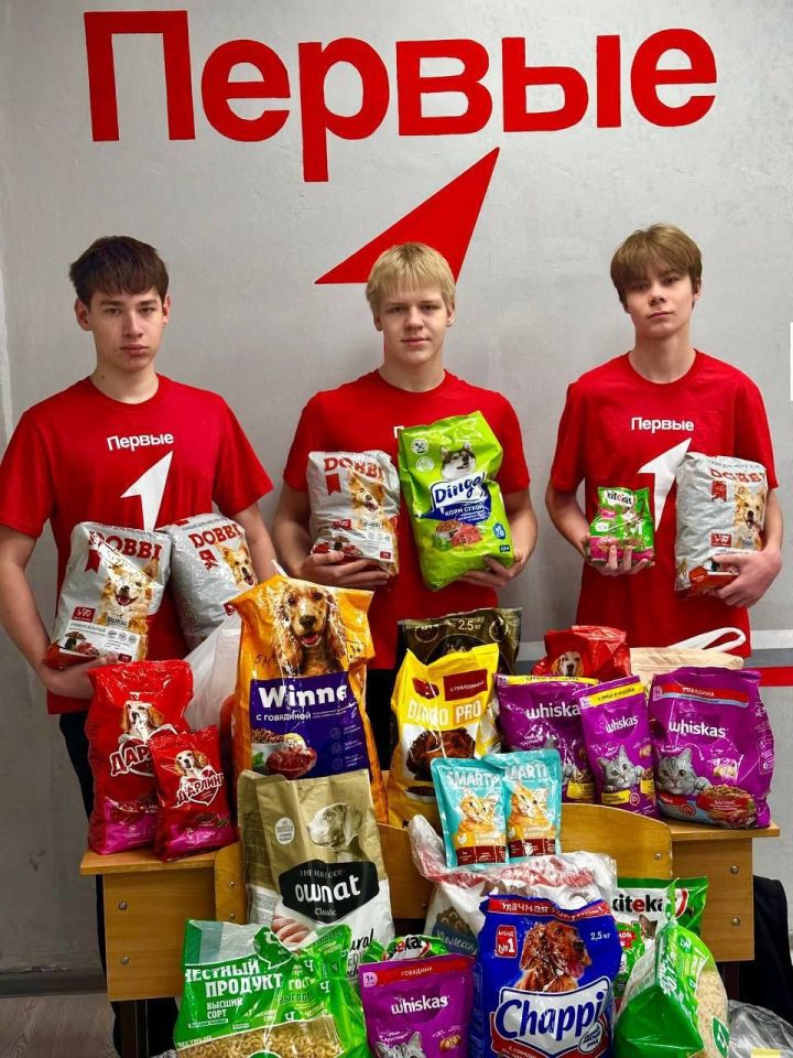 В лицее №9 прошла акция по сбору корма для животных приюта «Кот и Пёс»