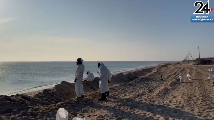 Студенты из Зеленодольска помогают с очисткой побережья в Анапе