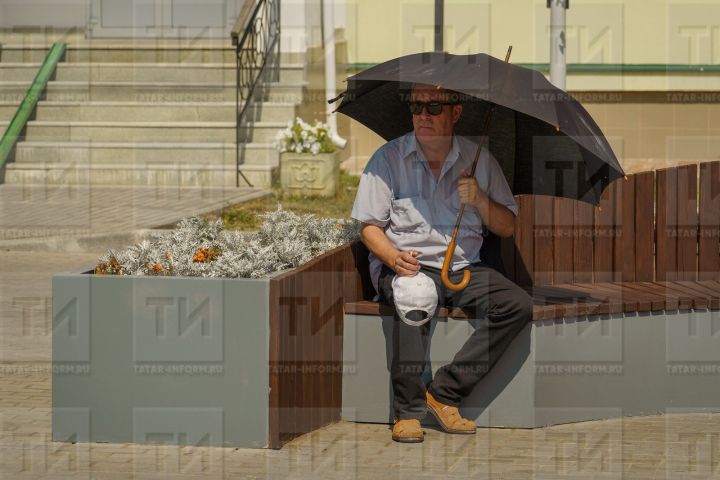 В Татарстане уже с начала апреля возможна аномальная жара