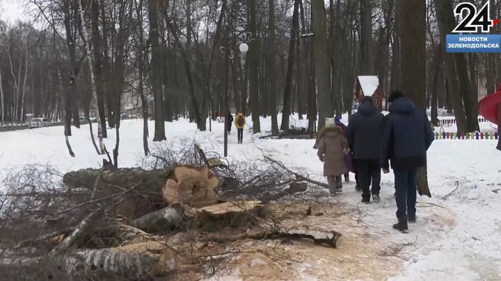 В Зеленодольске начались работы по вырубке аварийных деревьев