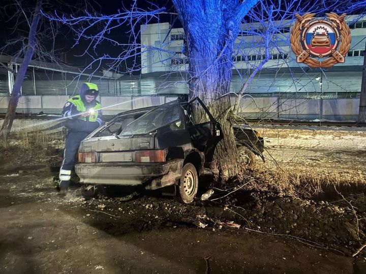 В Зеленодольске водитель «ВАЗ» погиб, врезавшись в дерево
