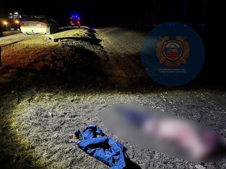 55-летний мужчина погиб под колесами автомобиля в Тетюшском районе Татарстана