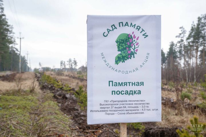 С 21 по 26 апреля в Татарстане пройдет Международная акция «Сад памяти»