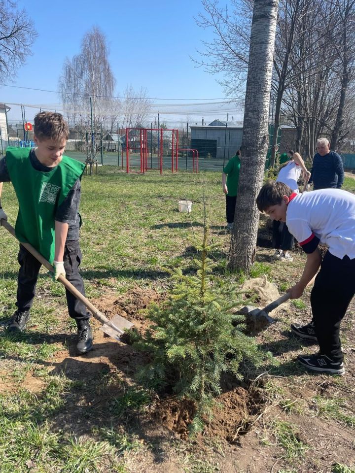 Школа № 7 присоединилась к акции «Сад Памяти»