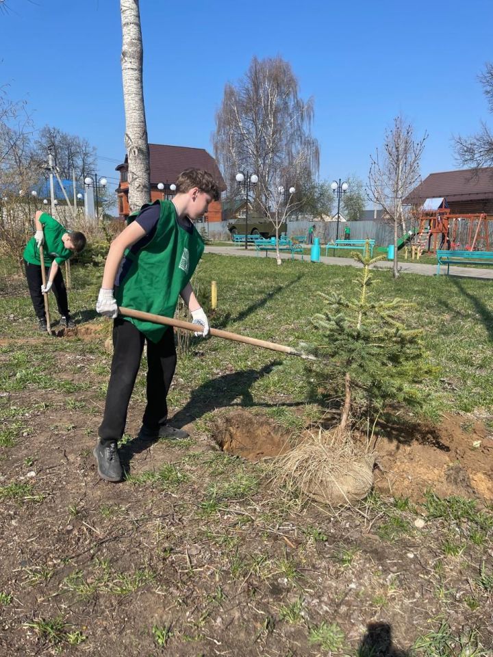 Школа № 7 присоединилась к акции «Сад Памяти»