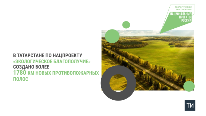 В рамках нацпроекта в Татарстане высадили 1,8 тыс. км противопожарных полос