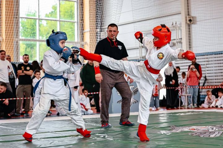 В Осиново прошел Республиканский турнир среди детей и юношей по рукопашному бою