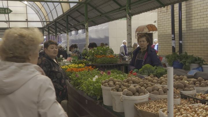 Зеленодольский рынок: одно дешевеет, другое дорожает