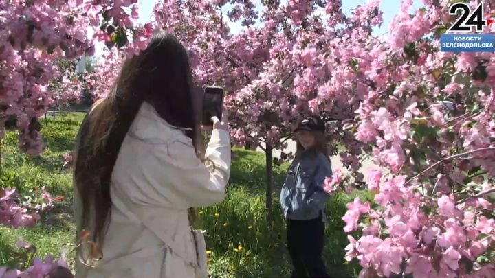Лучшие места для фотографий в Зеленодольске