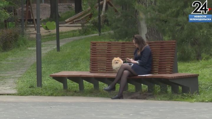 Какие городские парки популярны в Зеленодольске
