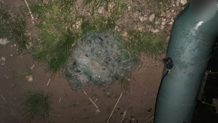 В ходе операции «Нерест» в Зеленодольске задержали браконьера