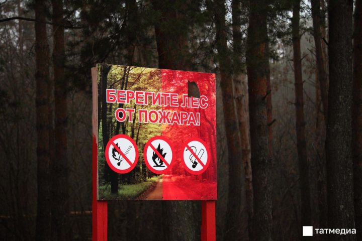 Зеленодольск попал в число муниципалитетов с самым большим числом возгораний леса