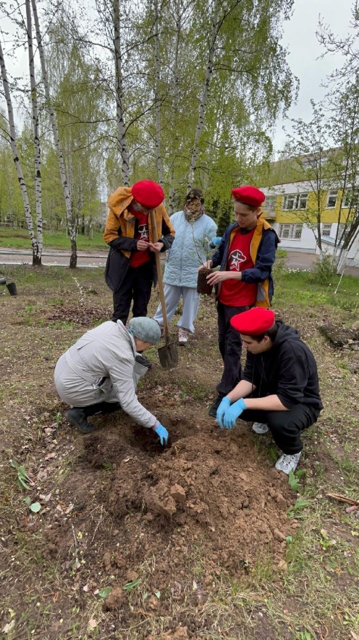 Юнармейский отряд «Кречет» школы № 16 принял участие во Всероссийской акции «Сад памяти»