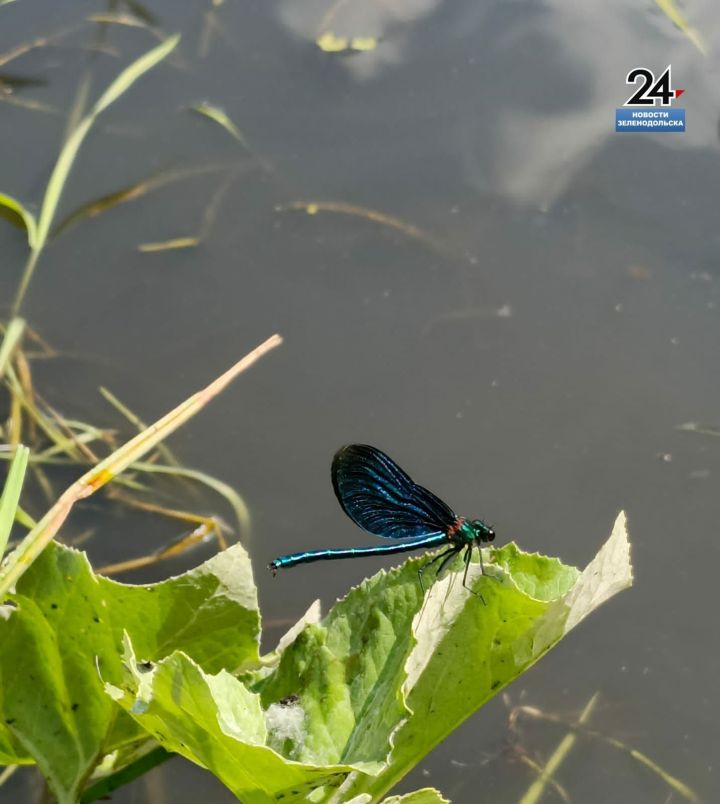 Зеленодольцы приняли участи в традиционном летнем сплаве по реке Илети