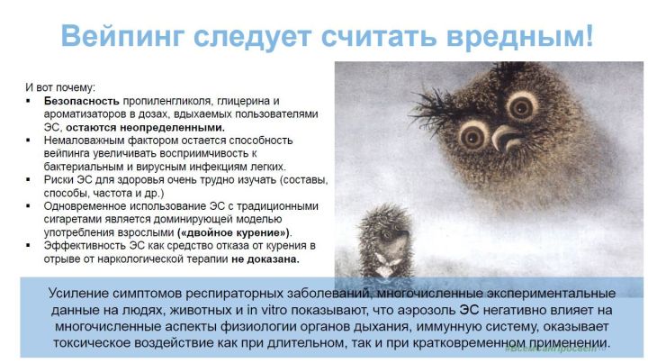 Глава Минпромторга высказался в поддержку полного запрета на вейпы в России