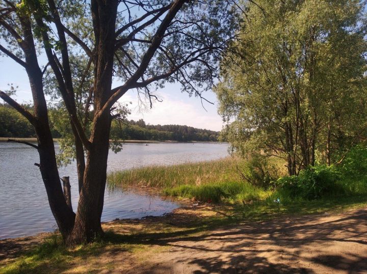 В Зеленодольске на Волге очевидцы спасли ребенка и двоих взрослых