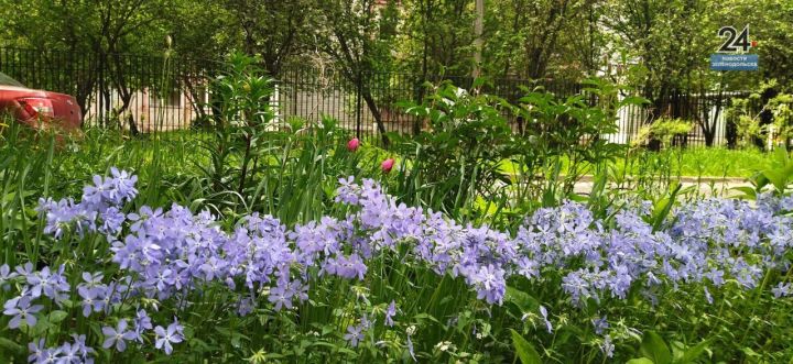 Началась трехдневная рабочая неделя