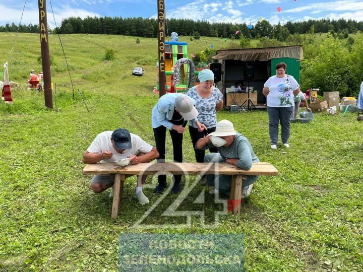 В Зеленодольском районе проходят Дни села