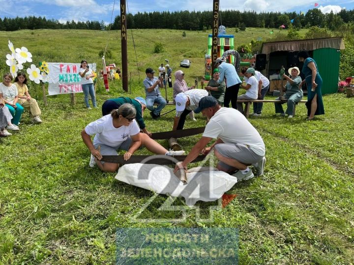 В Зеленодольском районе проходят Дни села