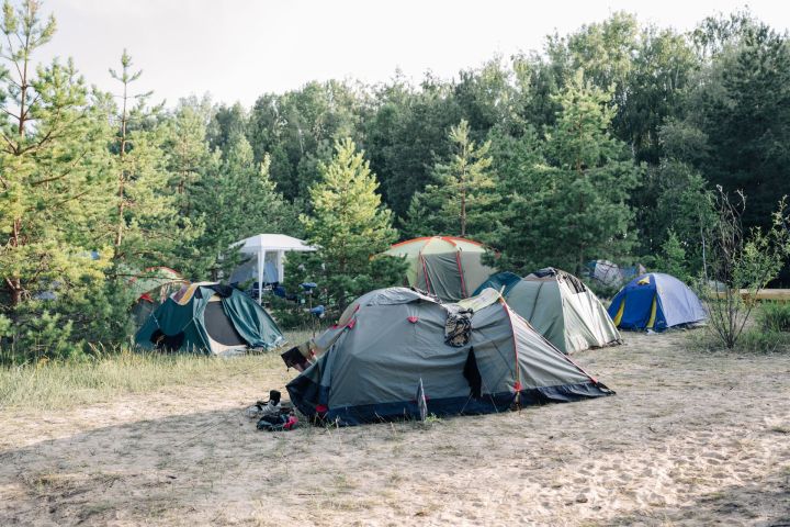 В Татарстане закончилась Всероссийская школа поисковика «Поисковый фронт»