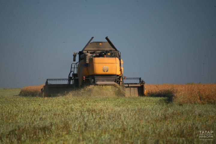 Агропромышленники Татарстана второй год держат лидерство в рейтингах цифровой трансформации АПК