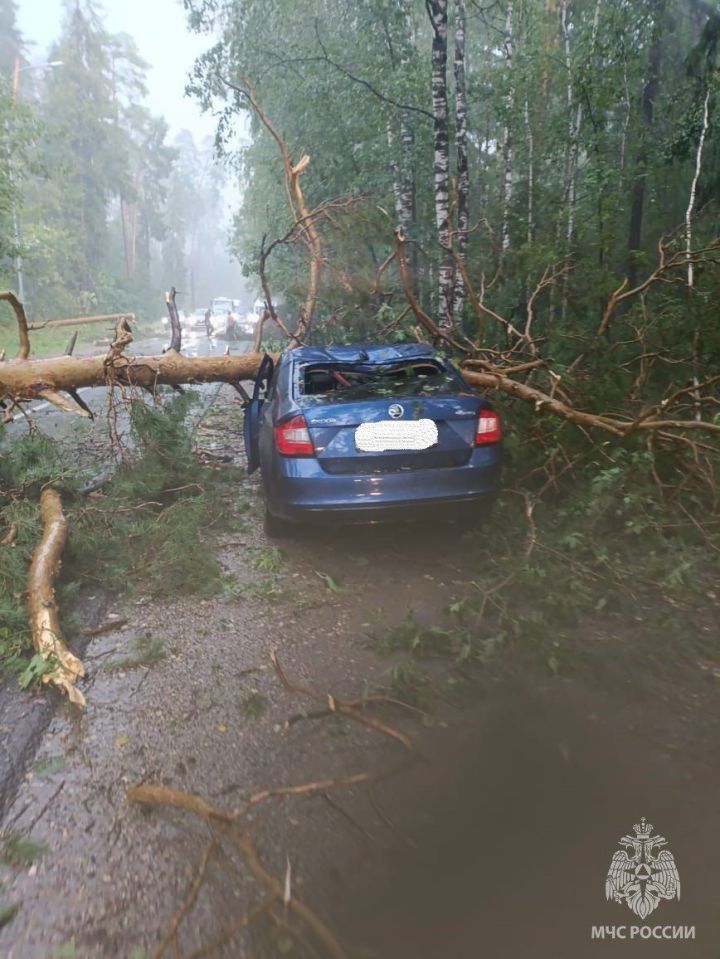В Раифе упавшие из-за ураганного ветра деревья повредили два автомобиля