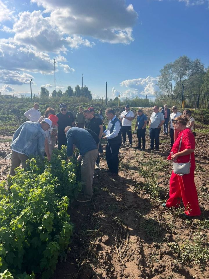 Семинар «Промышленное выращивание черной смородины» собрал профессионалов в Зеленодольском районе