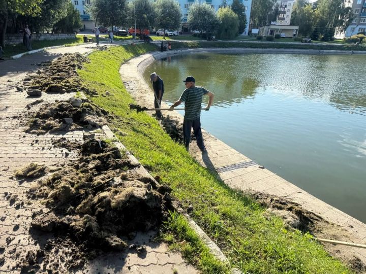 Глава ЗМР Михаил Афанасьев разъяснил ситуацию с очисткой городского озера