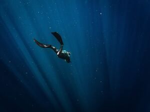 Знакомство с морскими глубинами: отдых в Геленджике