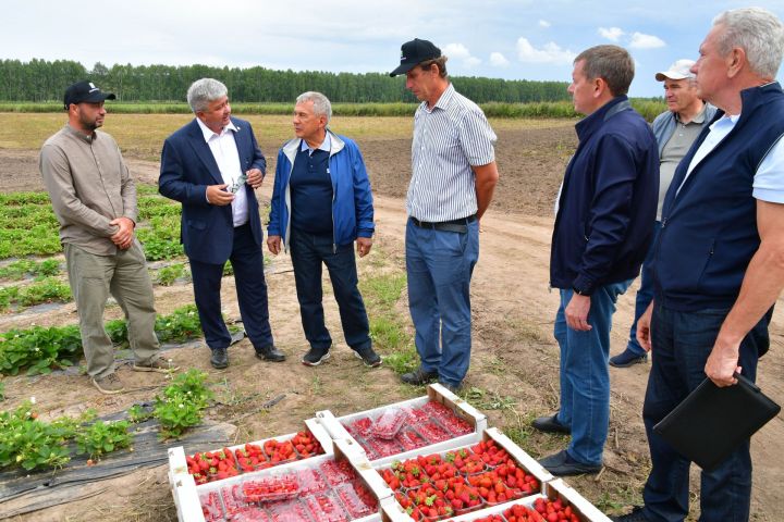 Вкусное разнообразие «Ягодной долины»