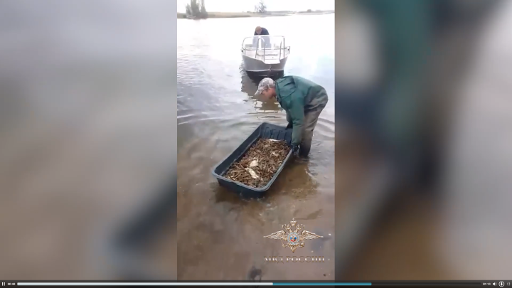 В Республике Татарстан пресечена деятельность по незаконной добыче водных биологических ресурсов