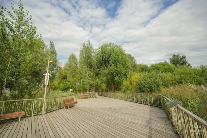 Шесть инновационных проектов Татарстана удостоены победы на всероссийском конкурсе