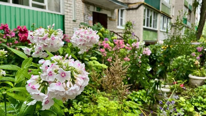 В Зеленодольске продолжаются работы по программе капитального ремонта многоквартирных домов